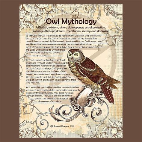 Owl Totems and Animal Spirit Guides in Witchcraft